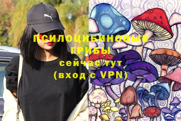 дживик Остров
