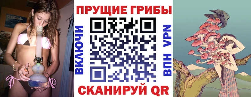 Галлюциногенные грибы Psilocybine cubensis  KRAKEN ссылка  Безенчук  купить  сайты 
